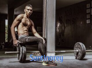 Santinorey