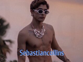 sebastiancollins 12x Gay