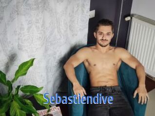 sebastiendive 12x Gay