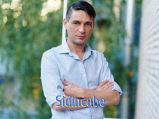 Sid_incube
