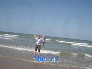 sloebert 12x Gay