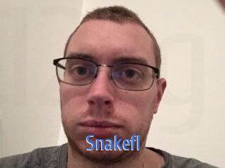 Snakefl