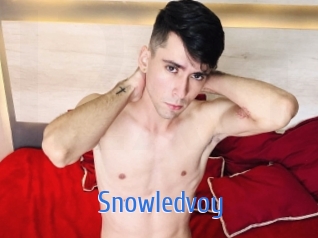 snowledvoy 12x Gay