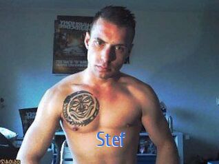 stef 12x Gay