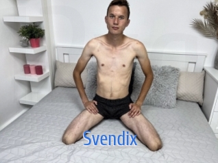 Svendix