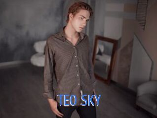 TEO_SKY