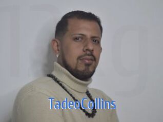 TadeoCollins