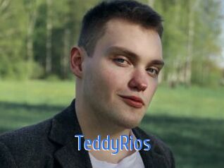 TeddyRios