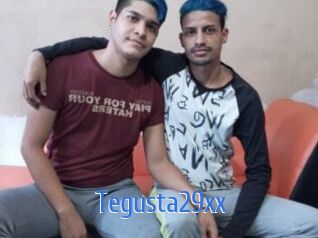 Tegusta29xx