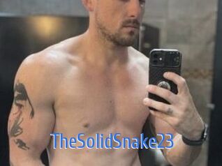 TheSolidSnake23