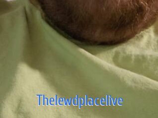 Thelewdplacelive 12x Gay