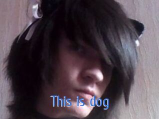 This_is_dog