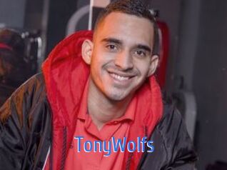 TonyWolfs
