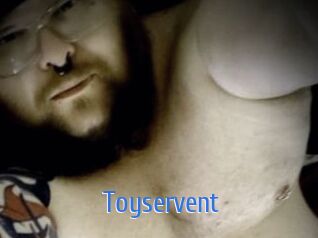 Toyservent