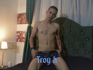 Troy_h 12x Gay