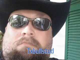 Txbullstud