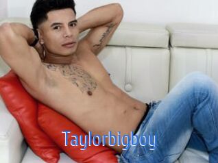 taylorbigboy 12x Gay