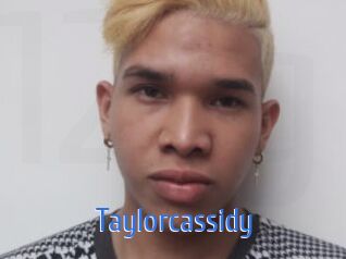 taylorcassidy 12x Gay
