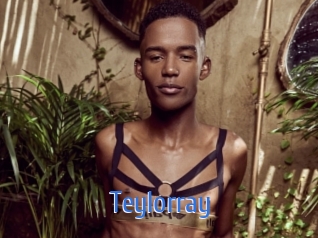 teylorray 12x Gay
