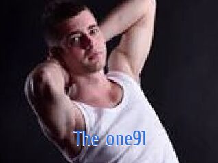 the_one91 12x Gay