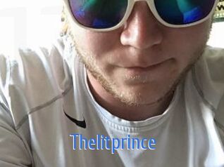 thelitprince 12x Gay