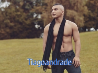 tiagoandrade 12x Gay