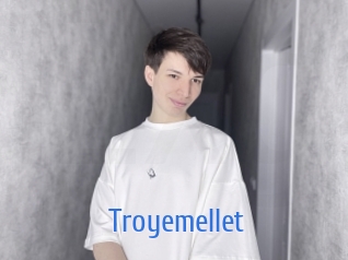 troyemellet 12x Gay