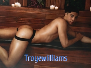 troyewiilliams 12x Gay
