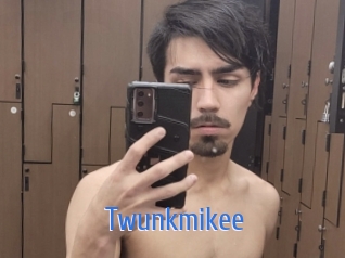 Twunkmikee