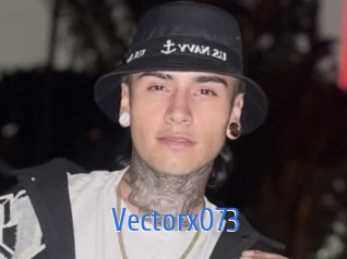 Vectorx073