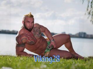 viking28 12x Gay