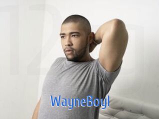WayneBoyI