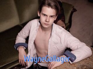 WayneGallager