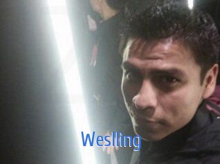 Weslling 12x Gay