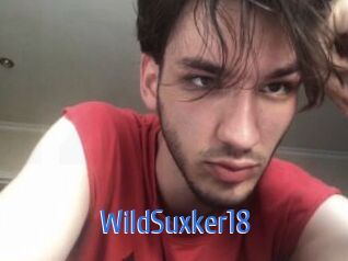 WildSuxker18 12x Gay