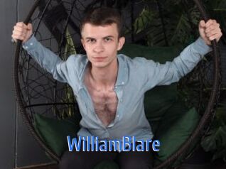 WilliamBlare 12x Gay