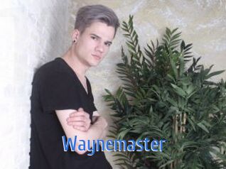 waynemaster 12x Gay