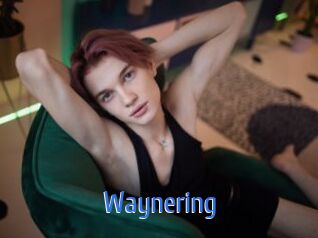 waynering 12x Gay