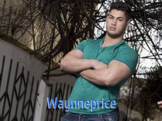 waynneprice 12x Gay