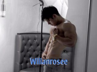 wilianrosee 12x Gay