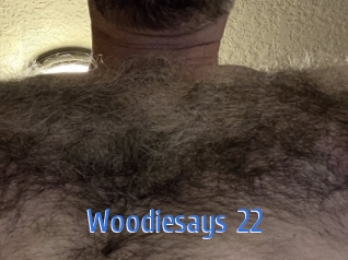 woodiesays_22 12x Gay
