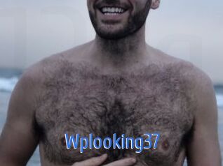 Wplooking37