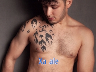 xa_ale 12x Gay