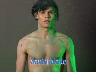 xavierblake 12x Gay