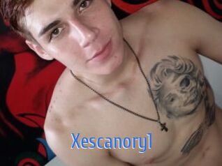 Xescanory1