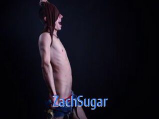 ZachSugar 12x Gay
