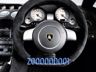 Z000000001