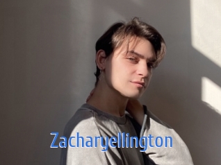 zacharyellington 12x Gay